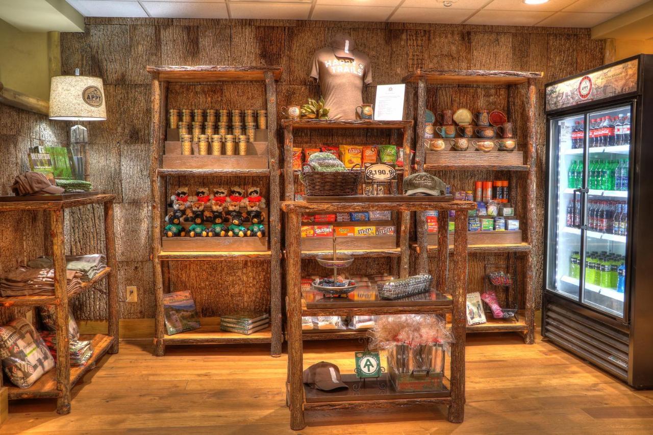 The Appy Lodge Gatlinburg Εξωτερικό φωτογραφία